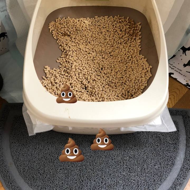 3df77d38 4e71 42c0 a3ba 8d467683e69c 1570933090744