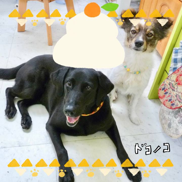 3df79e76 f0f2 45f1 b484 29809bfe967e 1704268044297