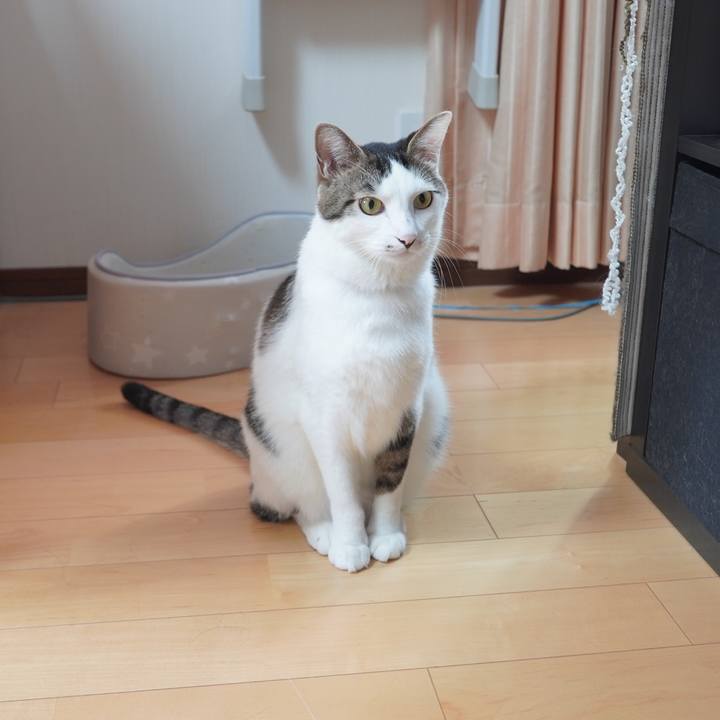 3df7a6b9 a754 4cfd 8635 650c4a106040 1602715882250