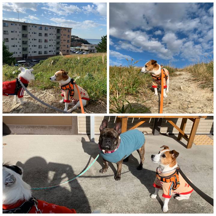 3df7e2e1 3ca2 40b7 897c 908dfe76426b 1573779208934