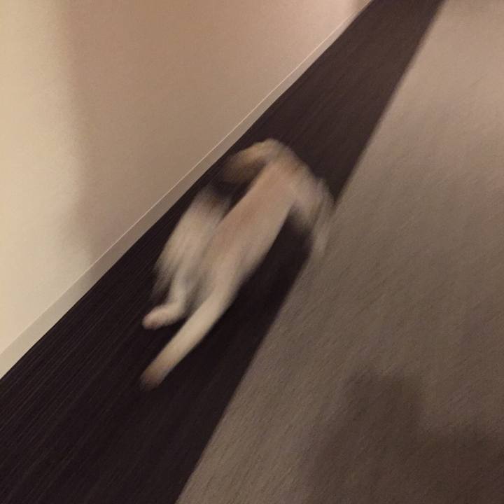 3df7ff89 ab27 4904 bc58 f35286d35081 1539383840190