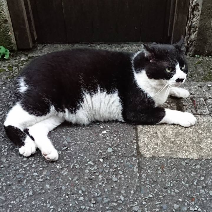 3df80b09 0fa8 461e 8033 0fc7729715b2 1626344245477