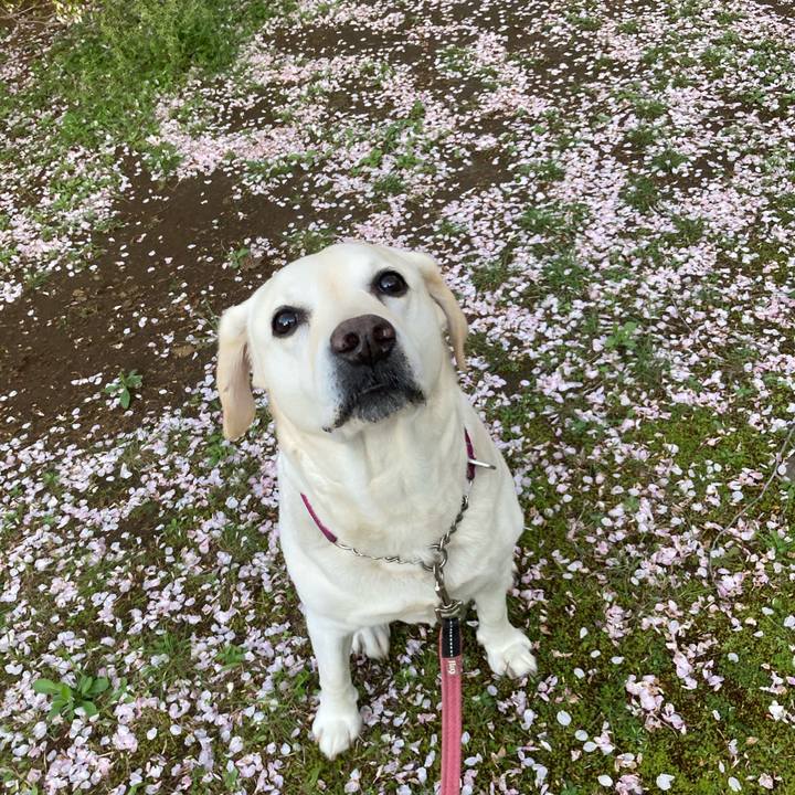 3df81c7b a2d0 498b 9a82 eba70c9cb61a 1713359932789