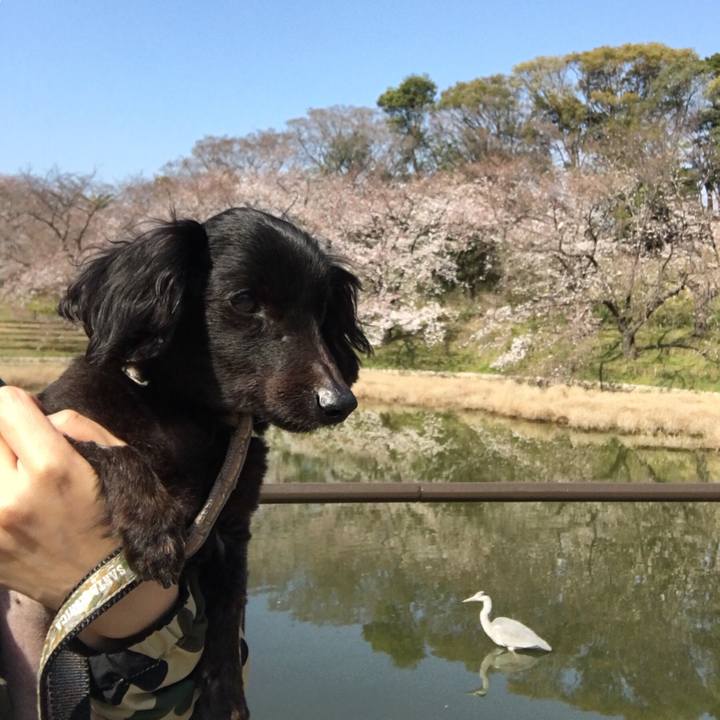 3df826f8 1a8f 4c9e 9c55 6dac2b1550e6 1554168509713