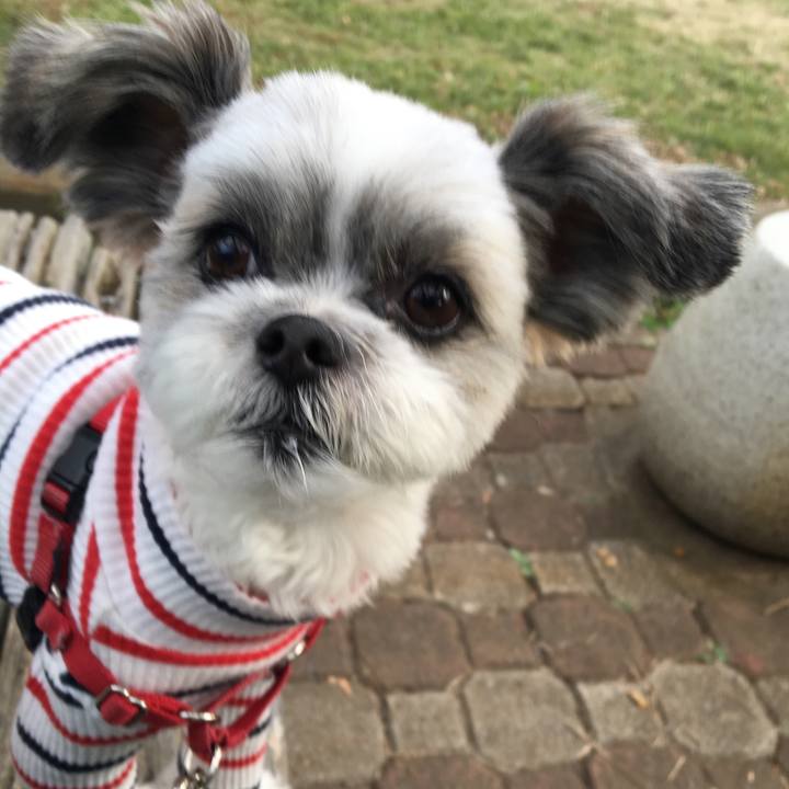 3df8711f 87da 447b a933 f12130ae064a 1541244370377