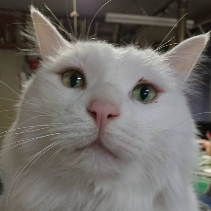 3df8c1d0 5065 4b58 a5cd 00005f79b291 1541976798227