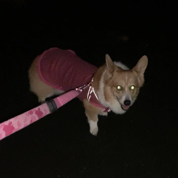 3df8f3d6 f521 49c4 9e6a 6a7511a02323 1633091510535