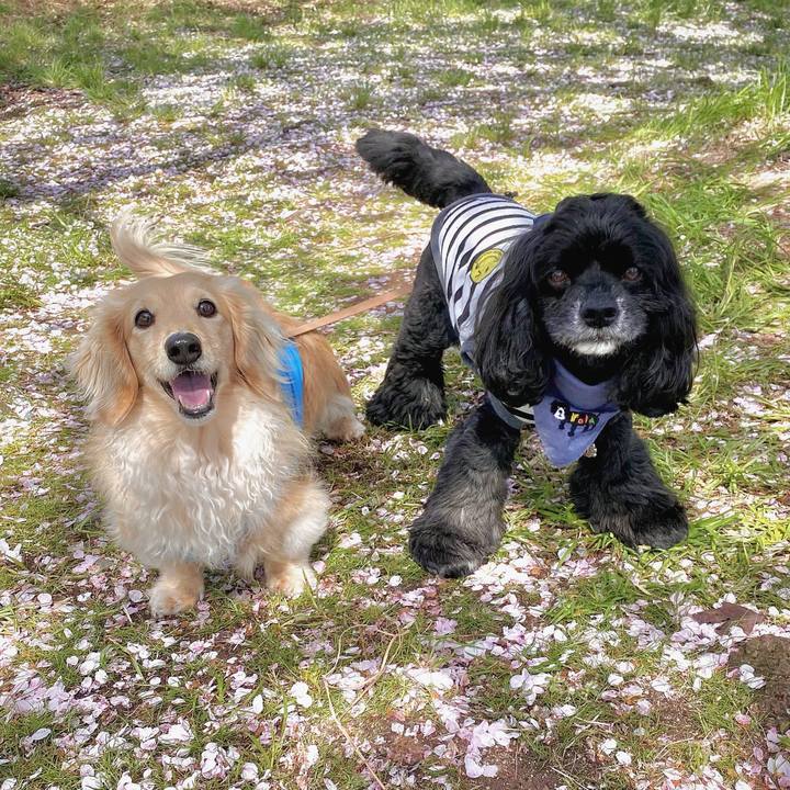 3df8fd00 9c2c 4eab 8ff6 fe7c2ea09188 1713174758773