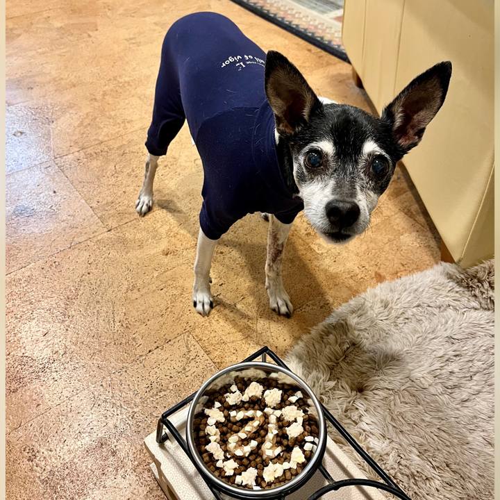 3df9099d f2d2 4915 931b ae6018c729e1 1649766975893