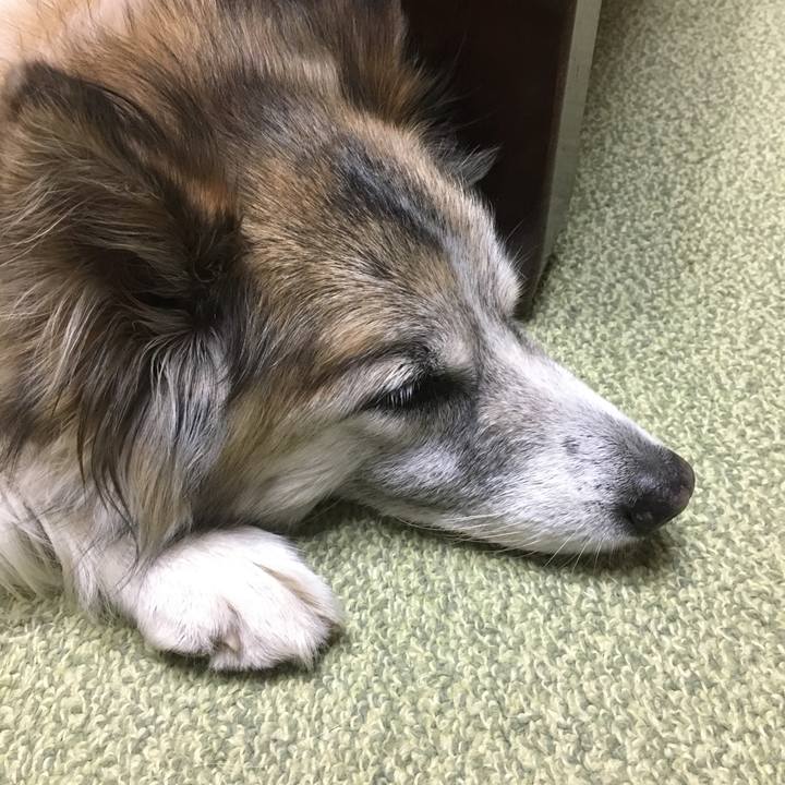 3df912fb cd1c 4645 8b9b d4f4d3152363 1509614179983