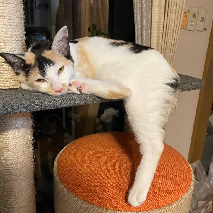 3df91a73 b435 4efe a100 1729c41f0c2c 1664457846826