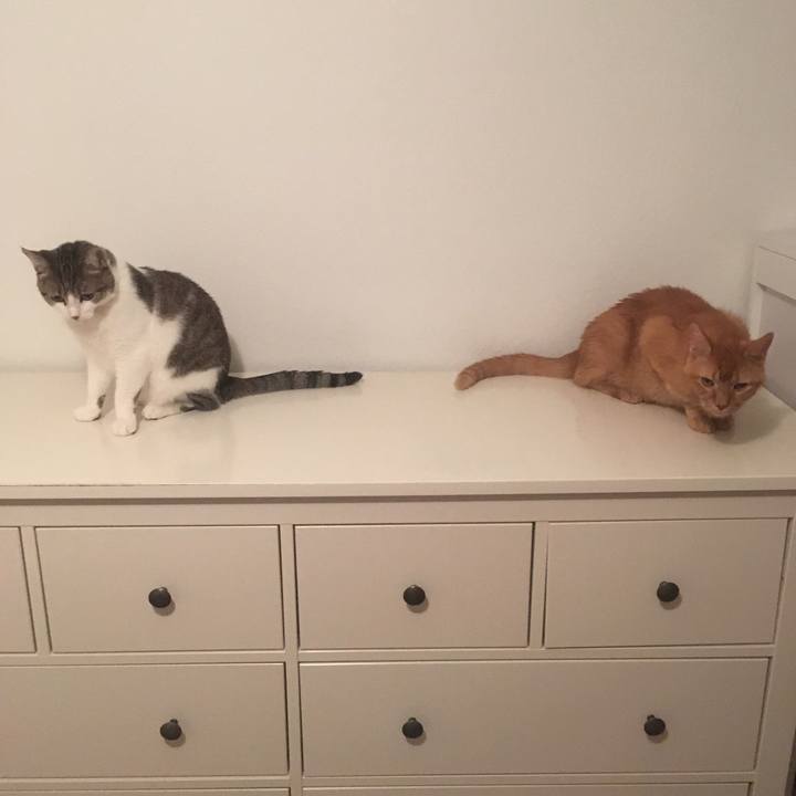 3df93fa3 4368 4ca9 8c82 49a4ade5cc67 1660608565217