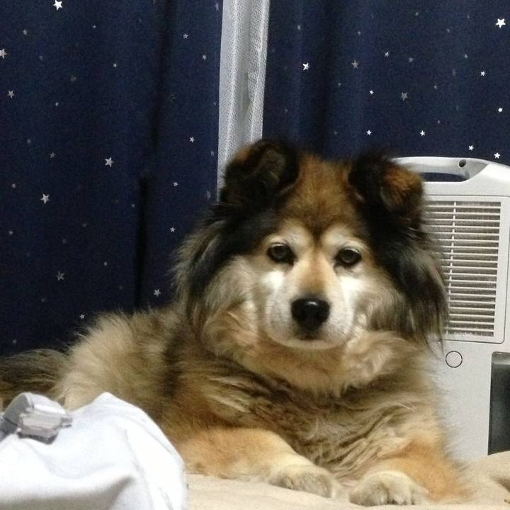 3df9a1c0 a3ab 4e7d b5a6 8b687390024d 1593306475353