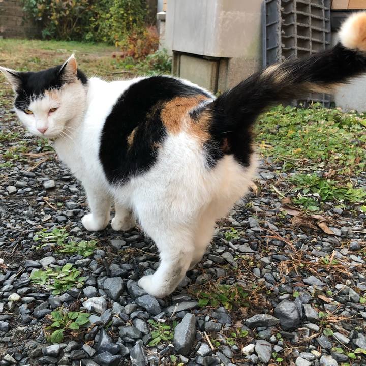 3df9d6d8 bdb7 4f25 b64f 9b04be4f89f5 1606951515204