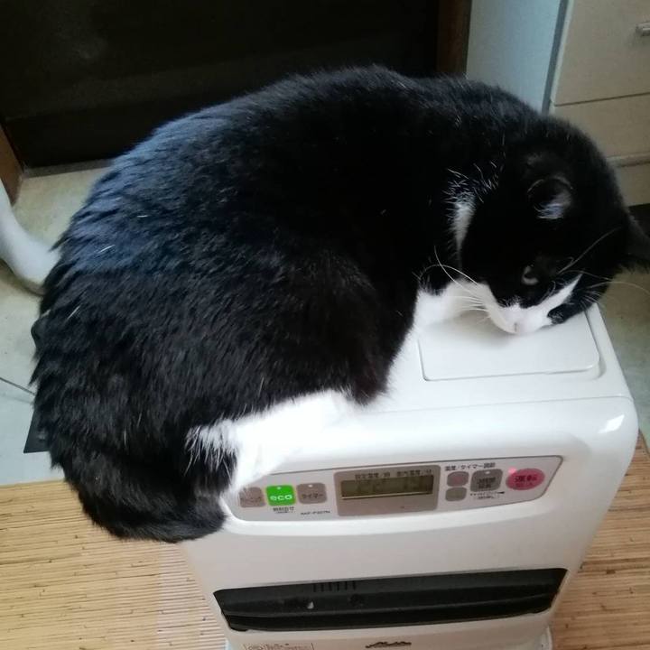 3dfa067f 8319 40c6 9a32 2f6064d91319 1616039258574