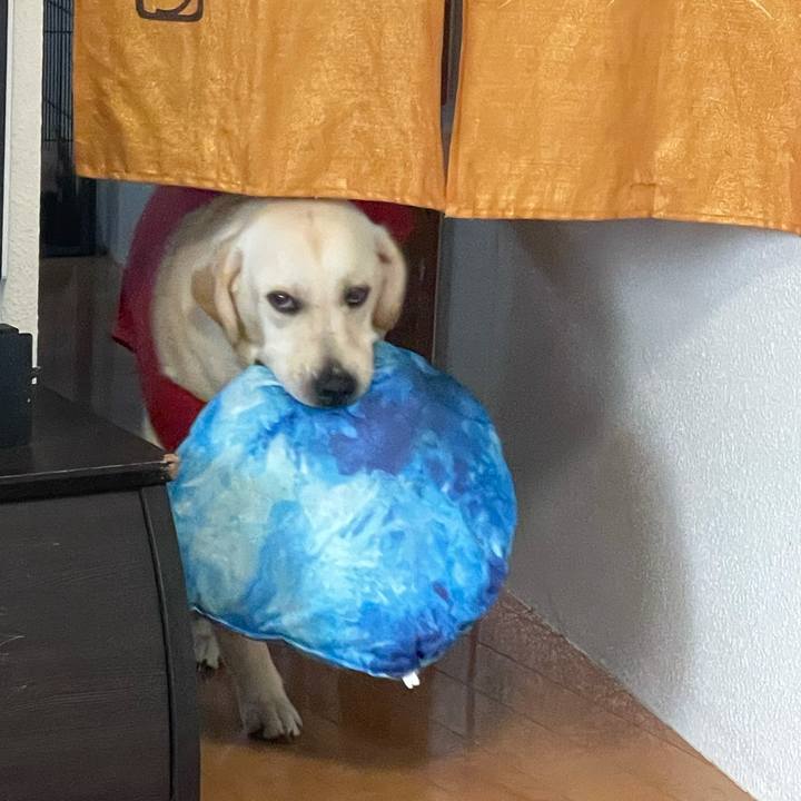 3dfa15da 7ae7 47dc 939a 6ed67dca82d2 1629332515134