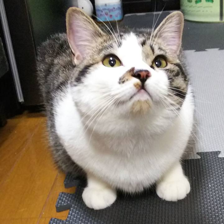 3dfa5c66 1169 4024 ab98 badc9fc94002 1624020972284