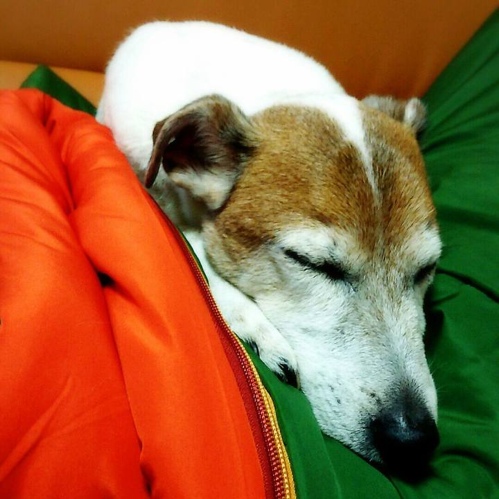 3dfabc8d be48 44e9 927b 1edc7bb9fa82 1517154318384