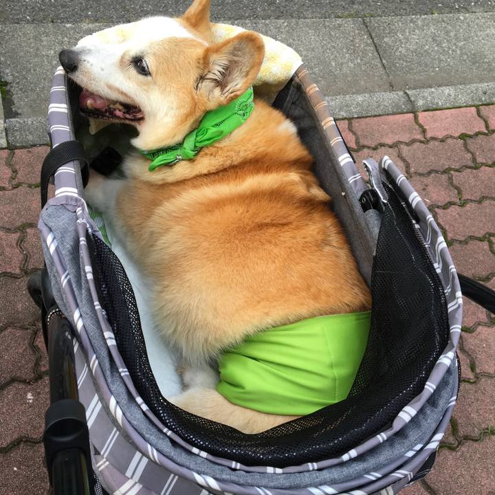 3dfac926 d70d 404a bc18 49911a7ddf34 1560461157670