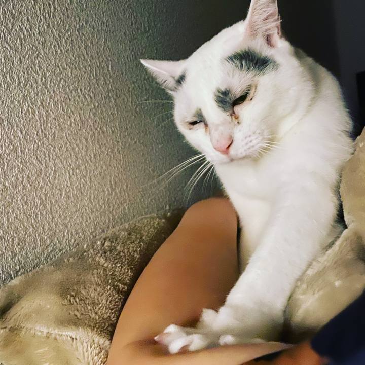 3dfadee3 f71f 4c25 9926 610b35df235a 1573999654483