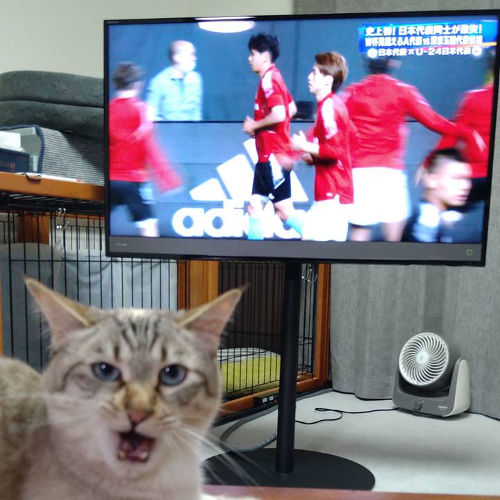 3dfaf365 e486 4cdb b91b b72c85e058a6 1622715695172