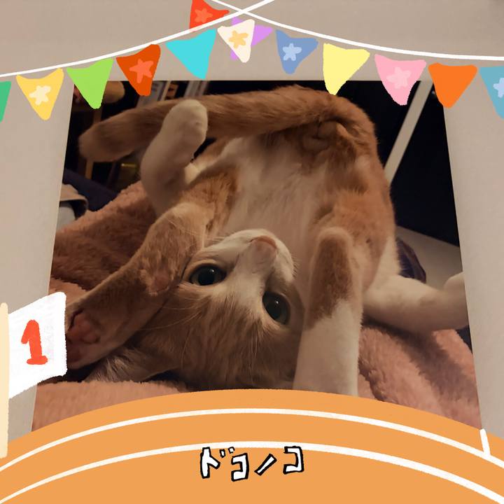 3dfaf628 1f2e 47a6 865d 84862f4e414c 1762771947358