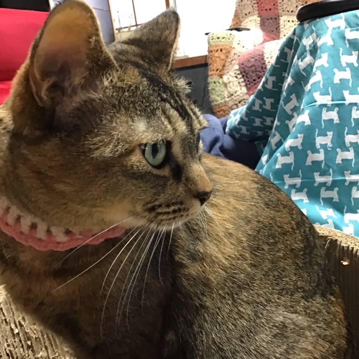 3dfb2221 de32 4165 befd c0e17e566c06 1744528985030