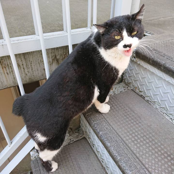 3dfb28b7 2f8b 47dd a401 047369a27b30 1557542808427