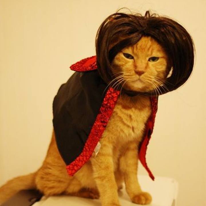 3dfb4c8b 52a3 43a3 b2a1 3c201fbb0549 1760432202037