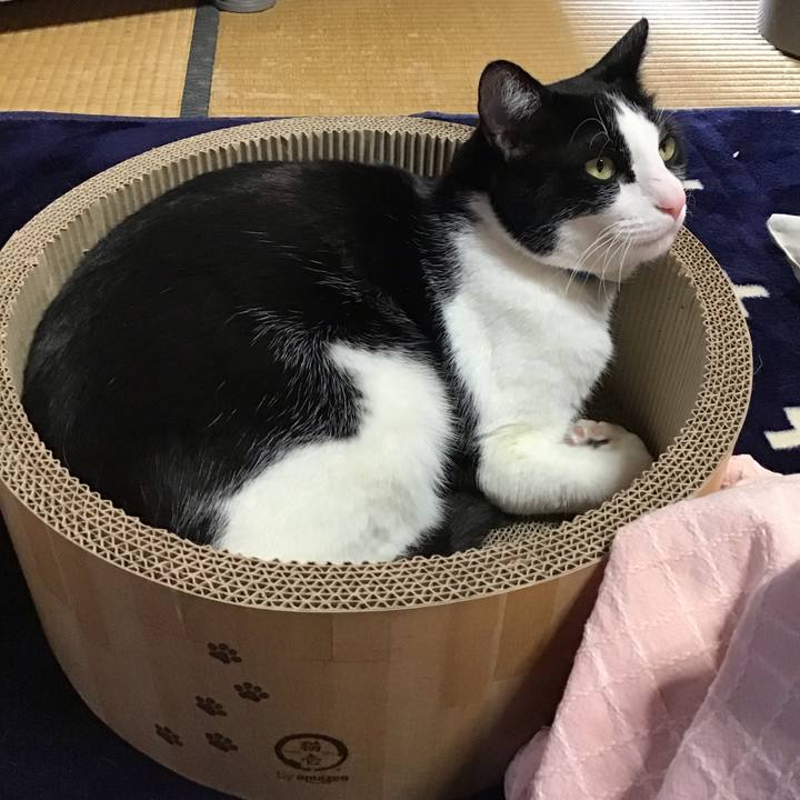 3dfb7718 b8a6 4e60 9700 1f676d0edc46 1709972023948