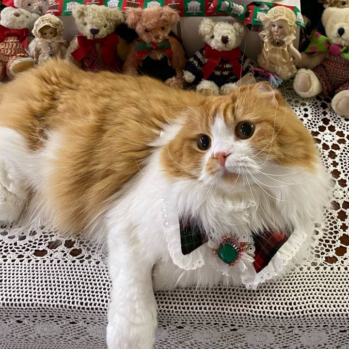 3dfbba9f 6e01 4eab be2f 6f35609522df 1608780231462