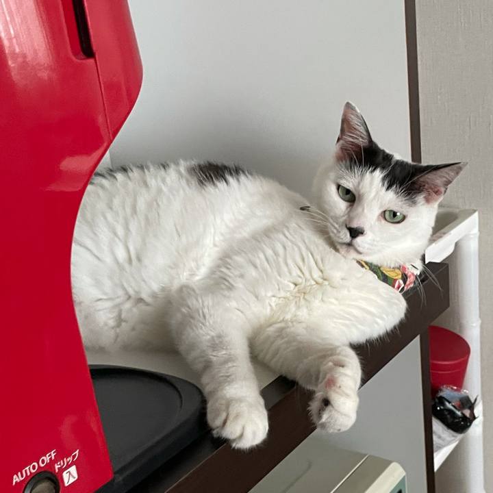 3dfc1257 2f75 48c4 9ddb 1408a1222dc4 1630381281280