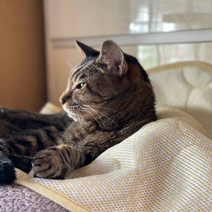 3dfc1271 8eeb 4c33 a005 fed945069d63 1631583707743