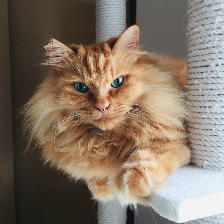 3dfc1bf7 445a 4b21 8063 6a96be8f91ea 1562109548562