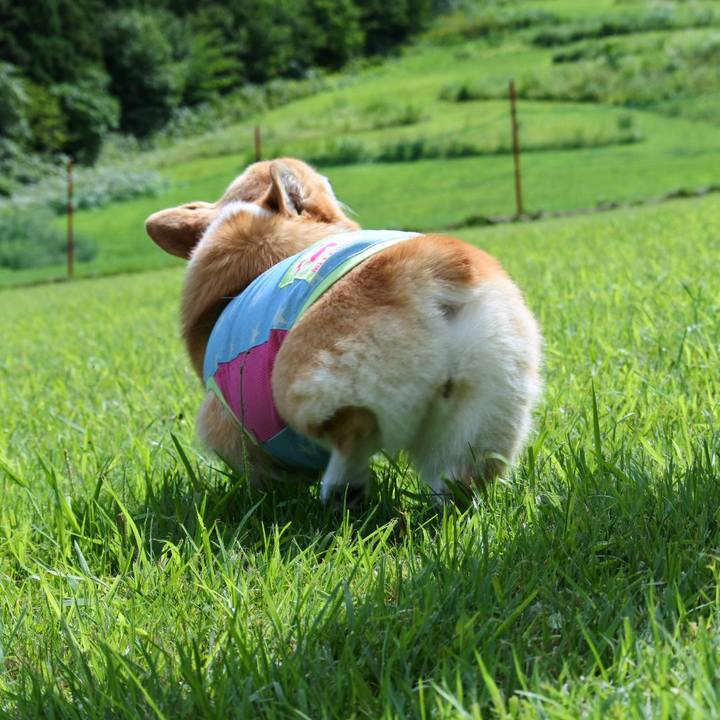 3dfc1f68 eb01 4fa0 949a 534d2896bb1a 1566872638816