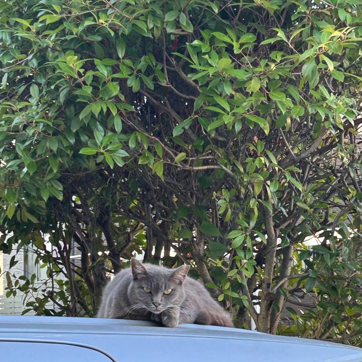 3dfc4c2b 5119 461e a949 c1cbd785b4f5 1753567132361