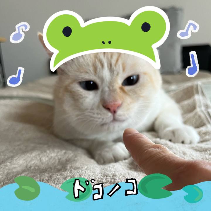 3dfcb97b 3c60 40db 9413 7398ff6eaab4 1717855086495