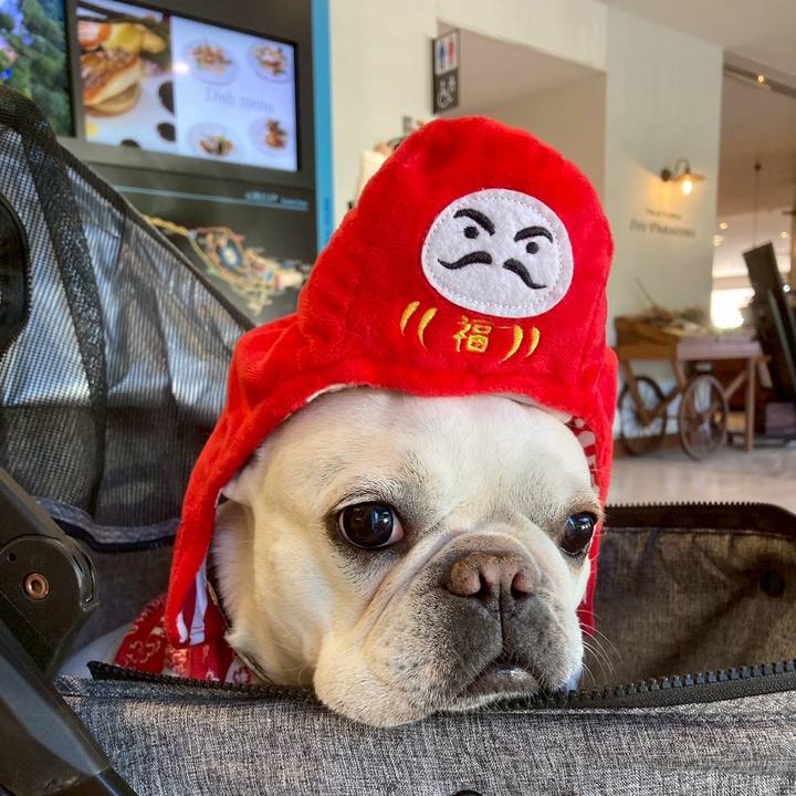 3dfcbee8 4d54 435a 8844 22f8be82b41e 1767222538023