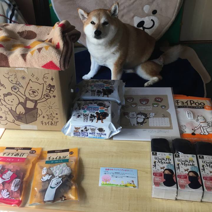 3dfcda74 4c77 488b a5ce 95d42d5f2bb2 1617856674473