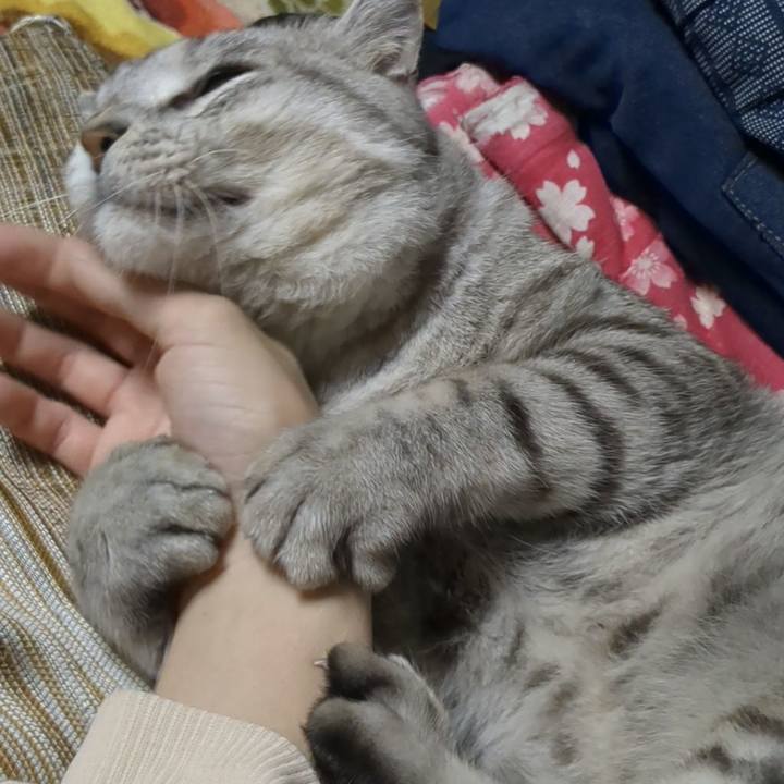 3dfce73f 5615 4668 b567 53bf87dfd916 1699626501044