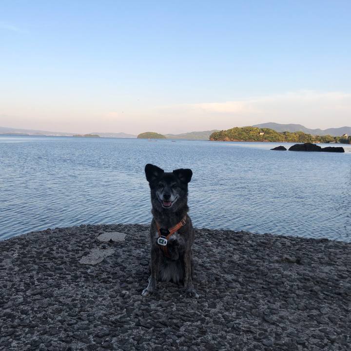 3dfcff8c 1cfa 4b67 a2d7 c04702c5d341 1682937493838