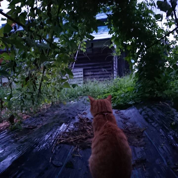 3dfd3f55 96bd 4e50 8425 37138cff81ab 1566467110665