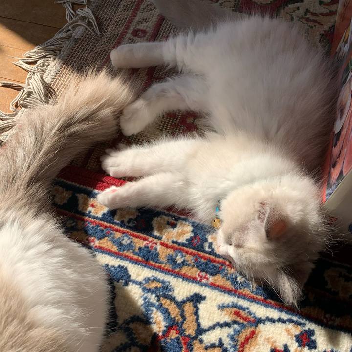 3dfd458b 042d 4859 ae24 653836952ee9 1632921117427