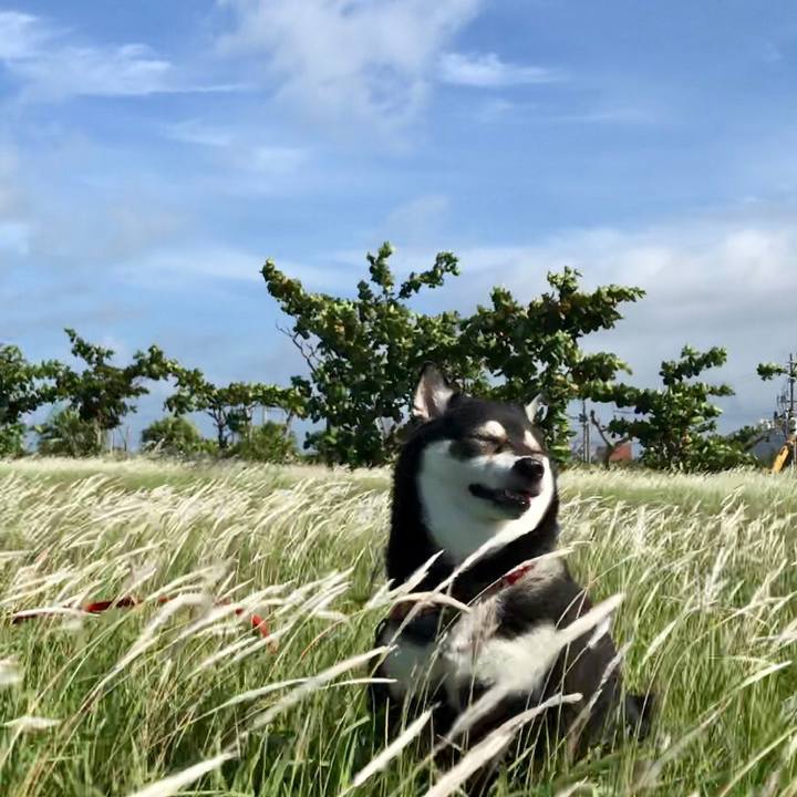 3dfd53e0 e4ee 4f09 a26e ca1be1d4f776 1530923500438