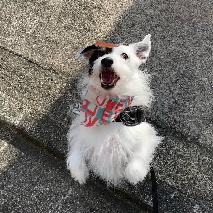 3dfd68dd 07ff 4c60 aeba 2f9a01459921 1755385188547