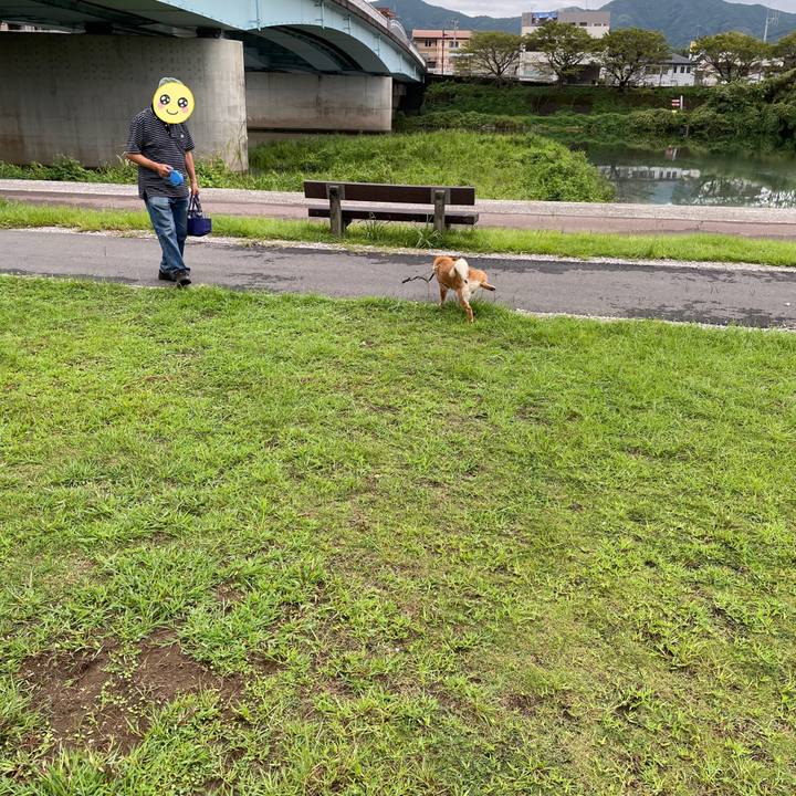 3dfd7ba7 4ba5 4ef1 8736 f4e209cf2e88 1662988983125