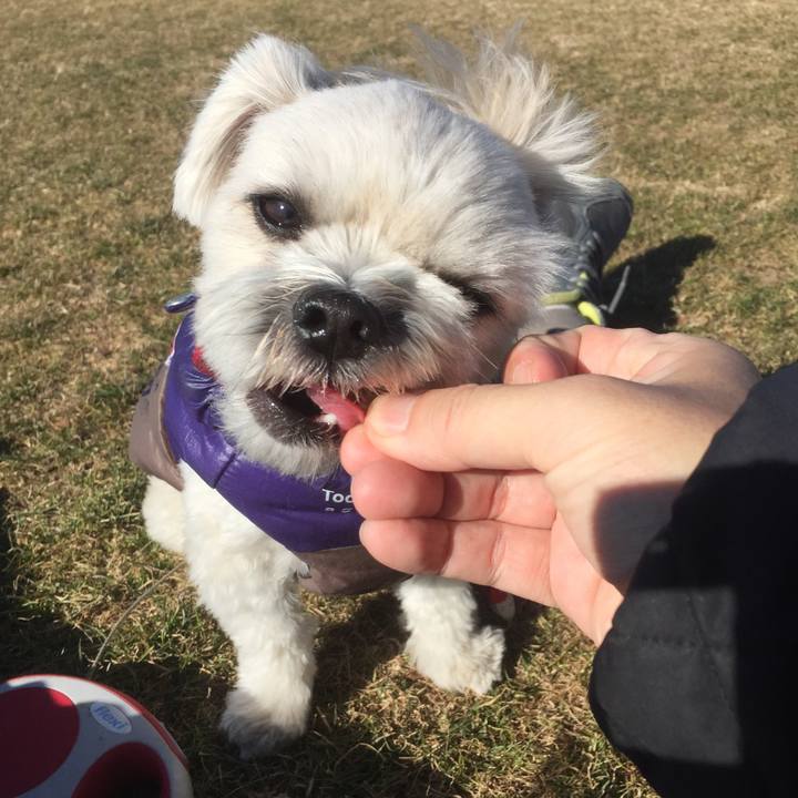 3dfdb402 fd86 460b a698 34a48d2f5659 1514789767124