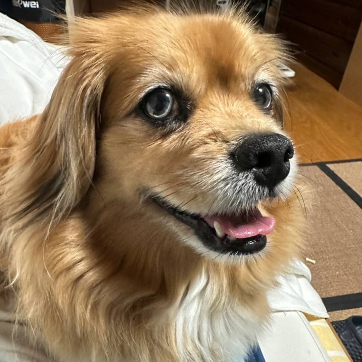 3dfdbf72 710a 42c0 be38 8b8228d5d955 1747433964867