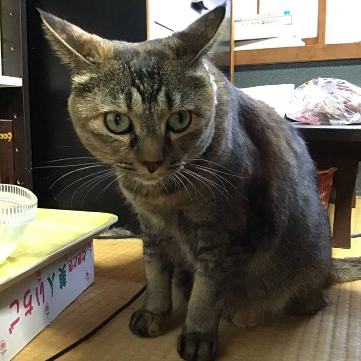 3dfddcf6 4d7d 42a5 8ab4 0a337c4f28f3 1755950022808