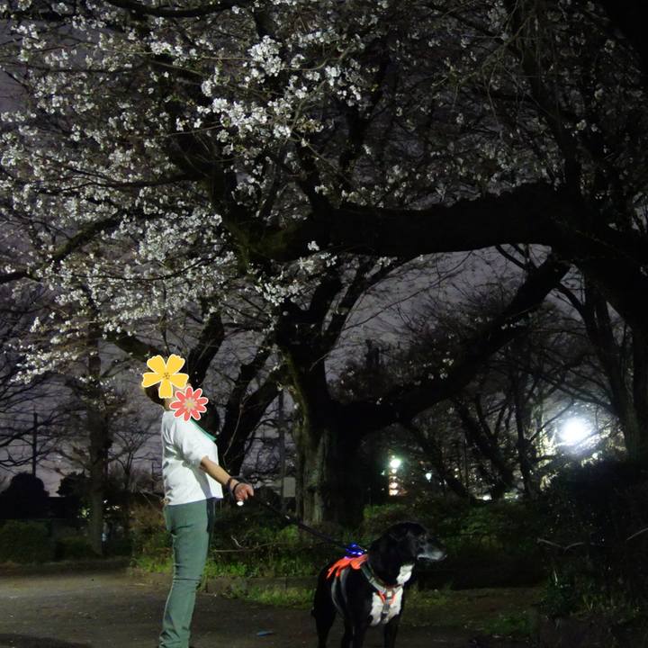 3dfe0d89 edea 4af8 be82 2ba14512b6bd 1711883514731